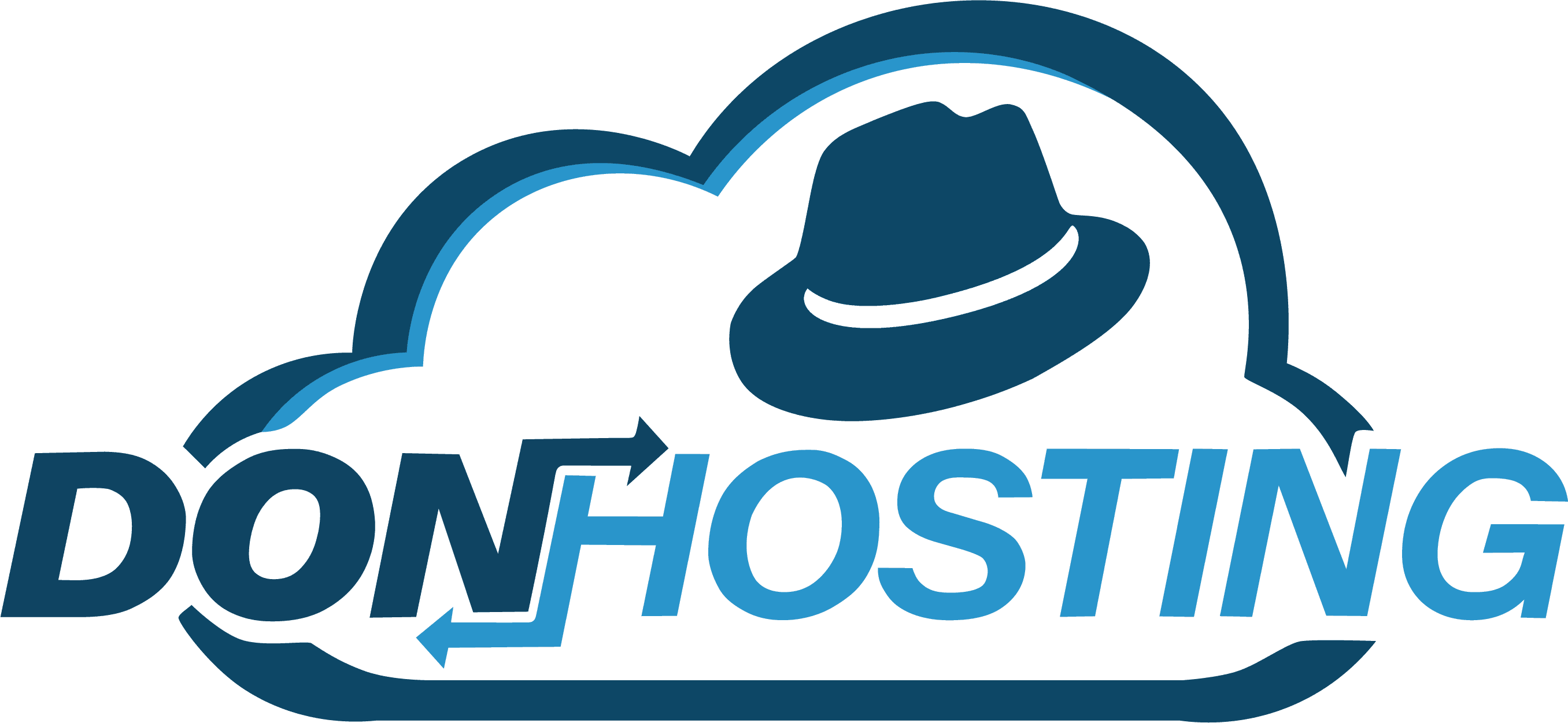 DonHosting, Startup web en Venezuela